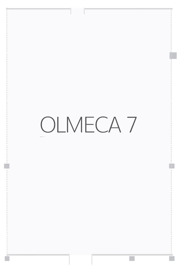 Salón Olmeca 7