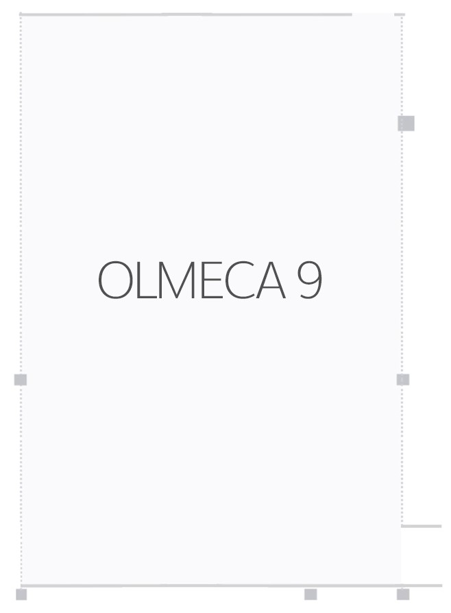 Salón Olmeca 9