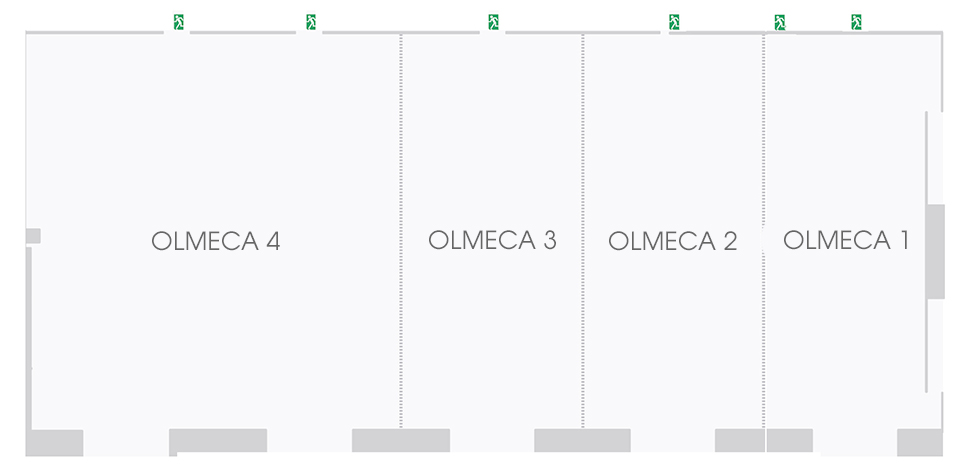 Salón Olmeca 1,2,3 y 4